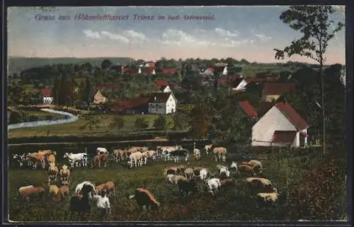 AK Trienz im bad. Odenwald, Ortsansicht mit Kuhweide