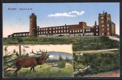 AK Brocken, Brockenhotel, Hirsch