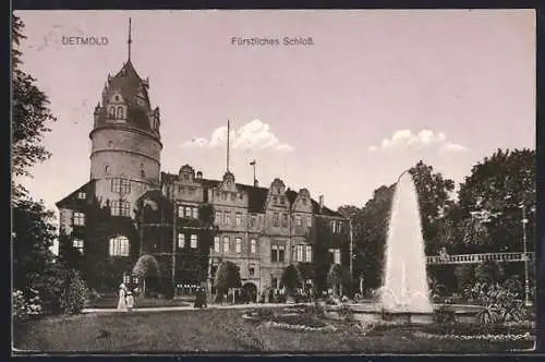 AK Detmold, Fürstliches Schloss mit Springbrunnen