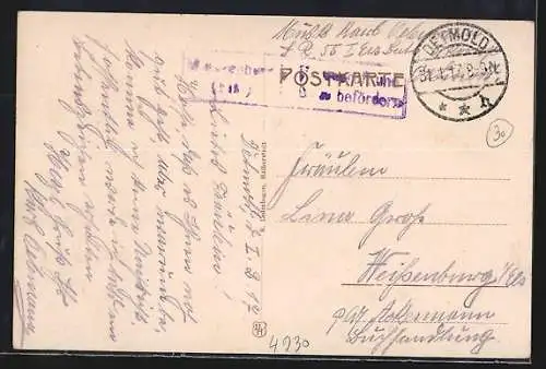 AK Detmold, Fürstliches Schloss mit Springbrunnen