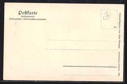 AK Lindau i.Bodensee, Hafeneinfahrt mit Dampfern, Denkmal, Turm