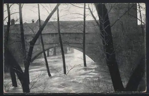 AK Nürnberg, Hochwasser-Katastrophe 5. Feb. 1909, Einfluss der hochgehenden Pegnitz