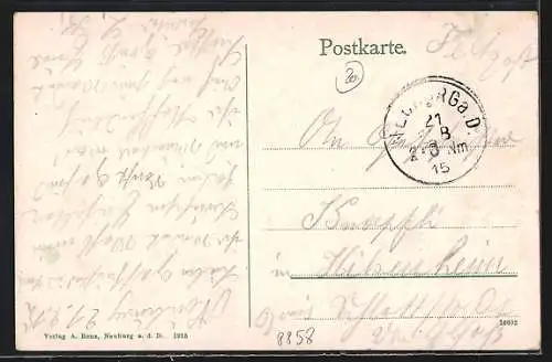 AK Neuburg a. d. Donau, Teilansicht mit Donaupartie