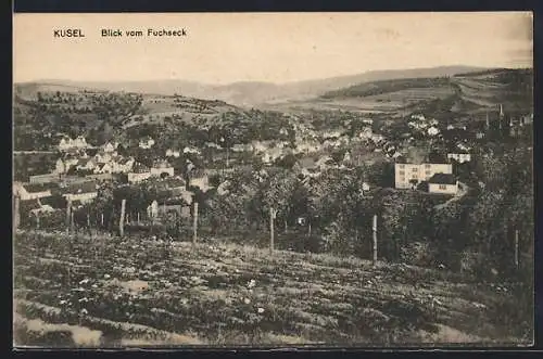 AK Kusel, Blick vom Fuchseck auf den Ort