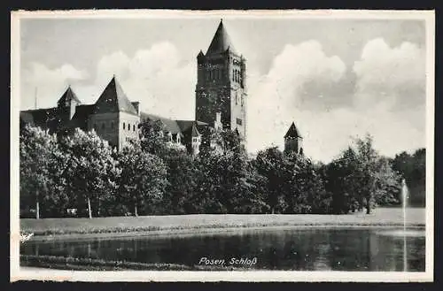 AK Posen, Blick auf das Schloss