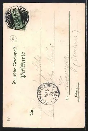 Lithographie Frankfurt-Westend, Palmenhaus und Gasthaus Palmengarten mit Fontäne