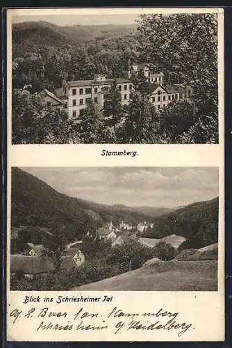 AK Schriesheim, Hotel Stammberg, Blick ins Schriesheimer Tal