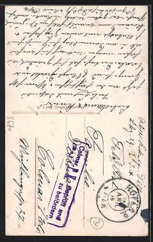 AK Hof i. B., Labyrinth, Saalepartie mit St. Michaeliskirche und Totalansicht