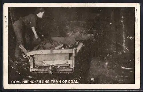 AK Coal Mining, Filling Tram of Coal