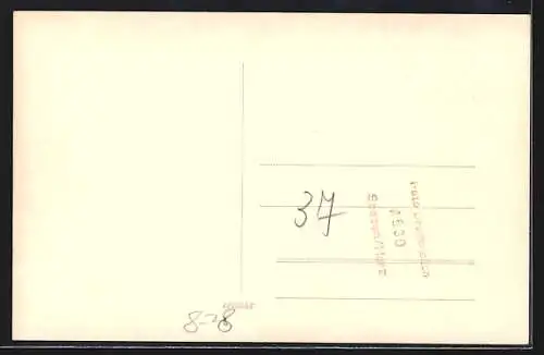 Foto-AK Zwei Köche vor sechs zubereiteten Spanferkeln