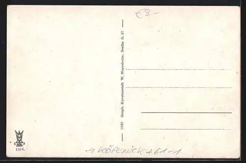 AK Köpenick, Landkarte der Umgebung mit Grünau, Fichtenau, Woltersdorf
