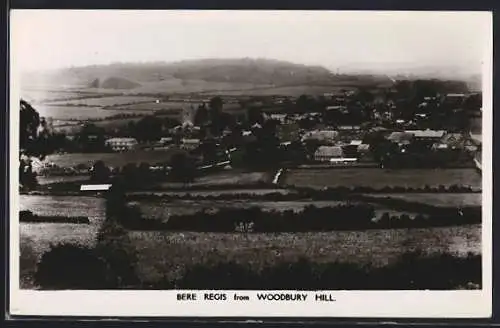 AK Bere Regis, View from Woodbury Hill