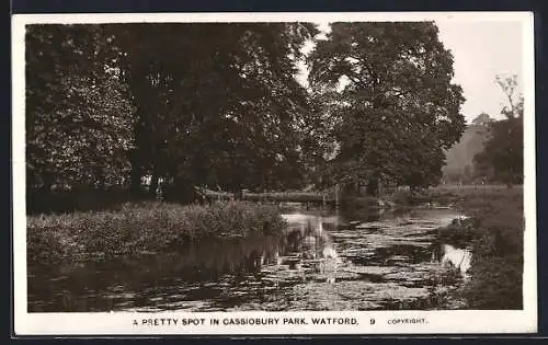 AK Watford, A pretty spot in Cassiobury Park