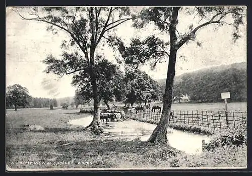 AK Chorley Woods, Pretty View