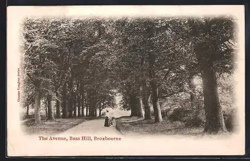 AK Broxbourne, The Avenue, Baas Hill