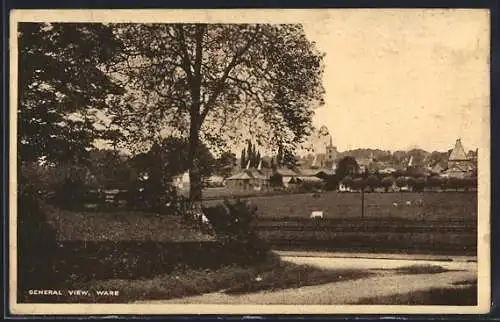 AK Ware, General View