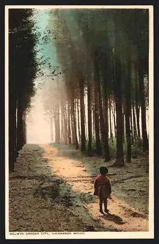 AK Welwyn Garden City, Sherrards Woods