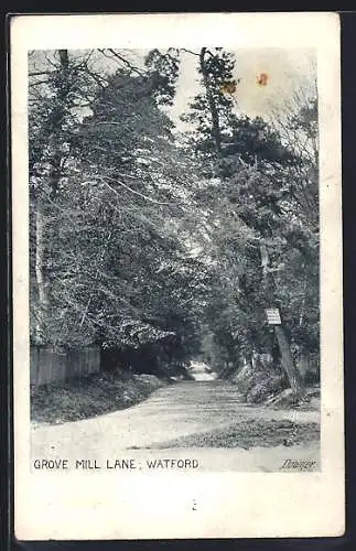 AK Watford, Grove Mill Lane