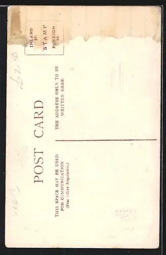 AK Harpenden, Old Elm Trees on the Common