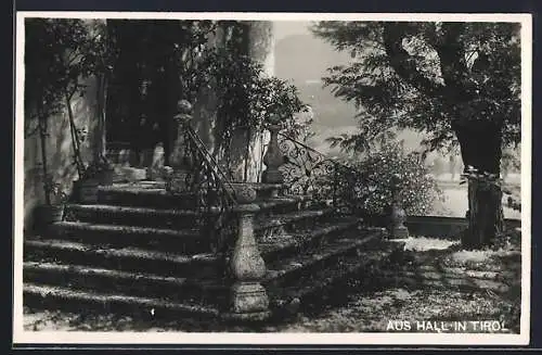 AK Hall /Tirol, Zugewachsener Treppeneingang