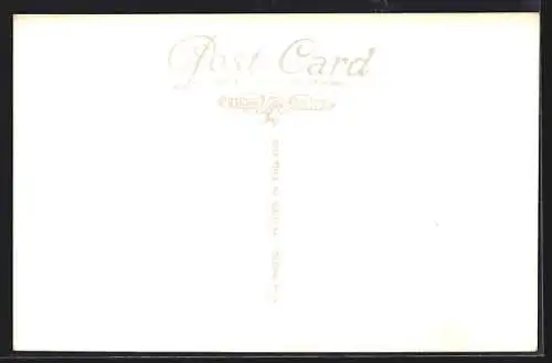 AK Sandringham, The Norwich Gates