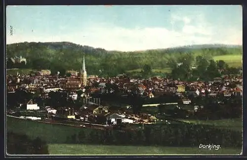 AK Dorking, General View