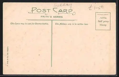 AK Dorking, General View