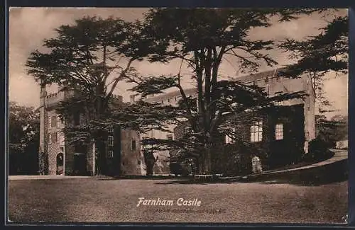 AK Farnham, The Castle
