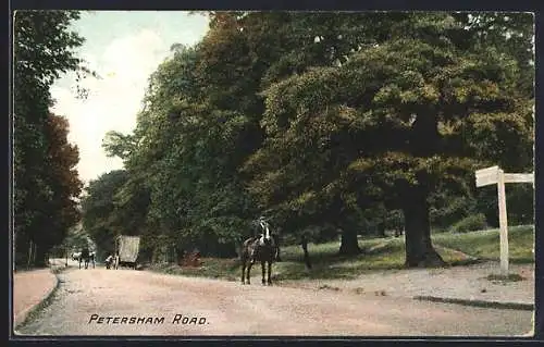 AK Richmond, Petersham Road