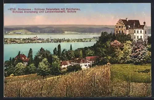 AK Salenstein /Bodensee, Schloss mit Reichenau, Schloss Arenaberg und Landwirtschaftl. Schule