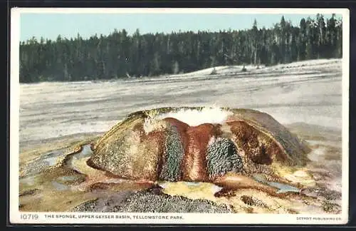 AK The Sponge /Yellowstone National Park, Upper Geyser Basin