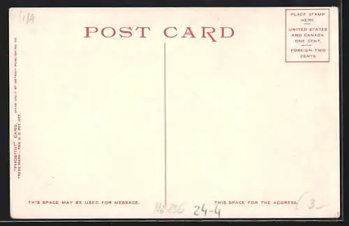 AK The Sponge /Yellowstone National Park, Upper Geyser Basin