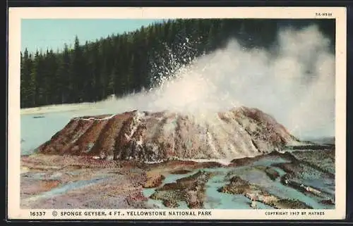 AK Yellowstone National Park, Sponge Geyser