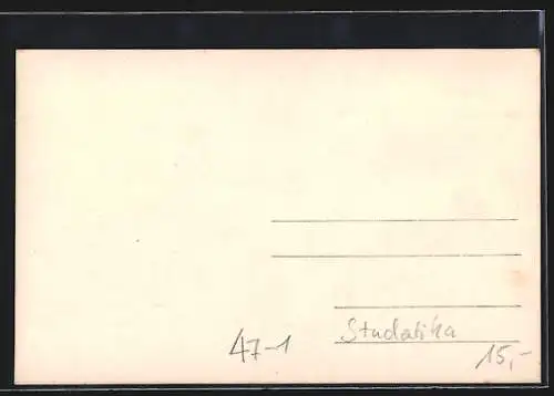 Foto-AK Uniformierte Studenten mit Füllhörnern und Flagge