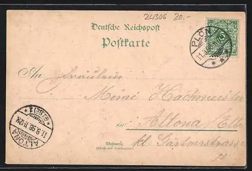 Lithographie Plön, Biologische Station, Aussichtsturm, Allee