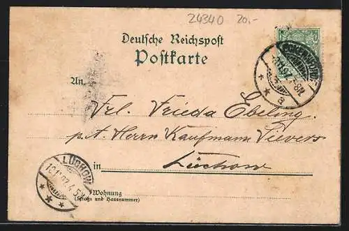 Lithographie Eckernförde, Bahnhof Aftenhof, Preusser`s Grab, Mövenberg, Muschel, Möwen