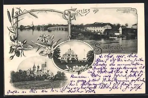 Lithographie Seebruck, Hammersche Handlung und Bäckerei, Villa Hertling, Schloss Ising