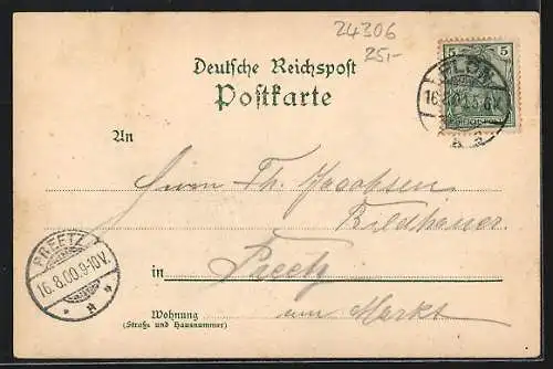 Lithographie Ploen, Prinzenhaus, Ortspartie mit Schwanensee, Blick v. Stern