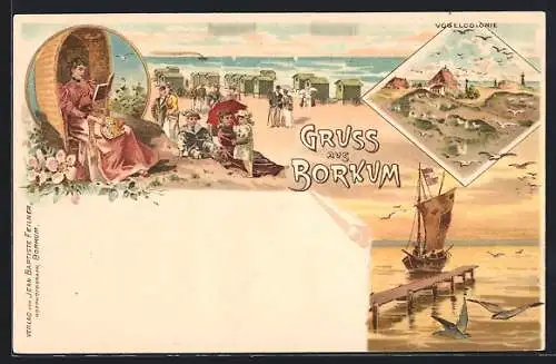 Lithographie Borkum, Sommerfrischler am Strand, Vogelcolonie