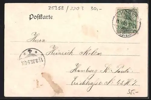 AK Horst / Holstein, Partien von der Elmshornerstrasse