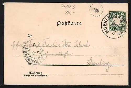 Lithographie Mühldorf a. / Inn., Ortsansicht, Rathaus, Marktplatz, Maximilian-Brücke