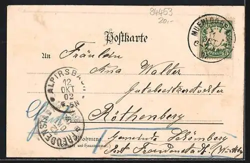 Lithographie Mühldorf, Maximilian-Brücke, Rathaus, Totalansicht