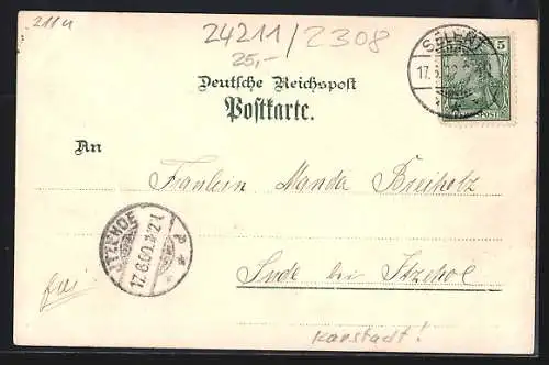 Lithographie Preetz i / H., Warenhaus Rudolph Karstadt, Priller`s Garten, Weinberg