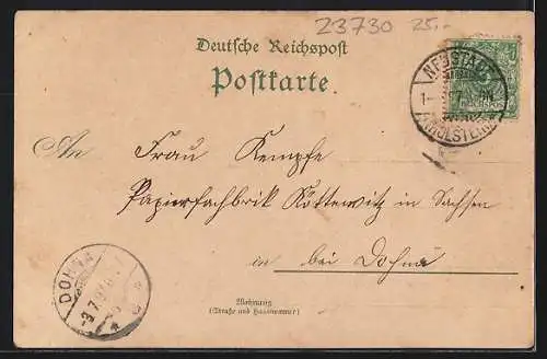 Lithographie Neustadt / Holstein, Amtsgericht u. Post, Marienbad, Kirche, Segelschiff, Ruderboote