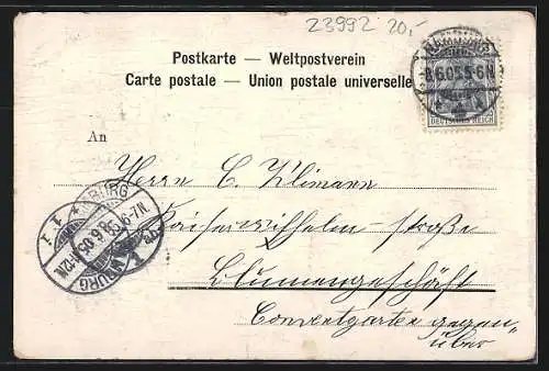 AK Neukloster / Hannover, Gasthaus zur Waldlust, Tanzsaal, Mühlenteich mit Schwänen, Rahmen