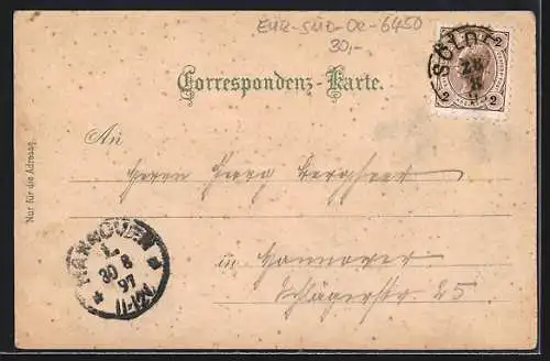 Lithographie Sölden /Oetzthal, Ortsansicht, Gasthaus zur Traube / Oberwirt
