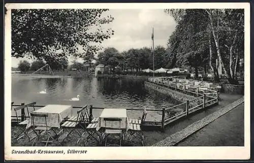 AK Kapellen / Moers, Strandbad-Restaurant Haus Silbersee, Schwäne im Wasser
