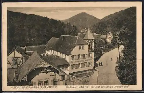 AK Bergzabern /Rheinpfalz, Hinteres Kurtal mit Haushaltungschule Waldmühle