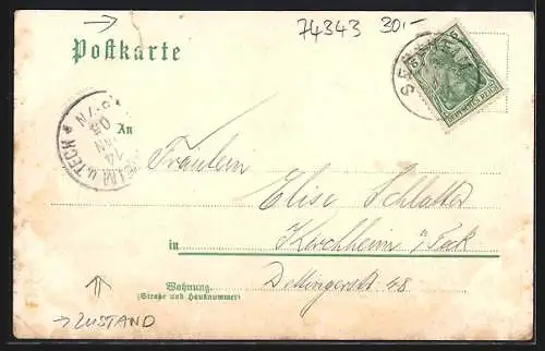 Lithographie Gross-Sachsenheim, Conditorei C. Dietrich, Schloss, Villa, Marktplatz, Totalansicht