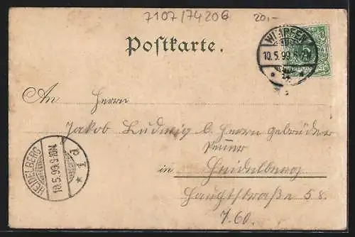 Lithographie Wimpfen a. N., Badhotel Ritter, Totalansicht der Stadt